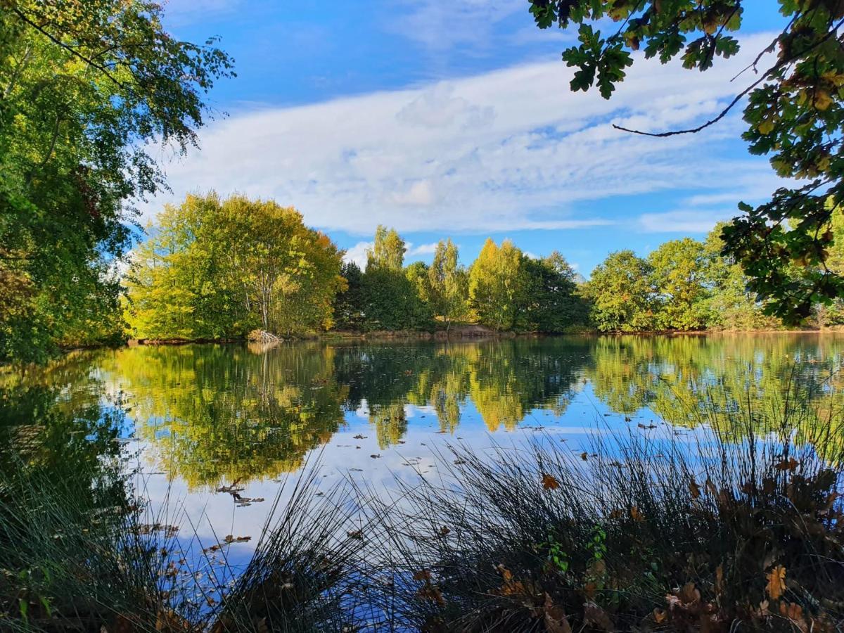 Ferienwohnung Am See Dillich - Eigener Garten - Ruhige Lage - Natur Vor Der Haustuer Borken  Εξωτερικό φωτογραφία