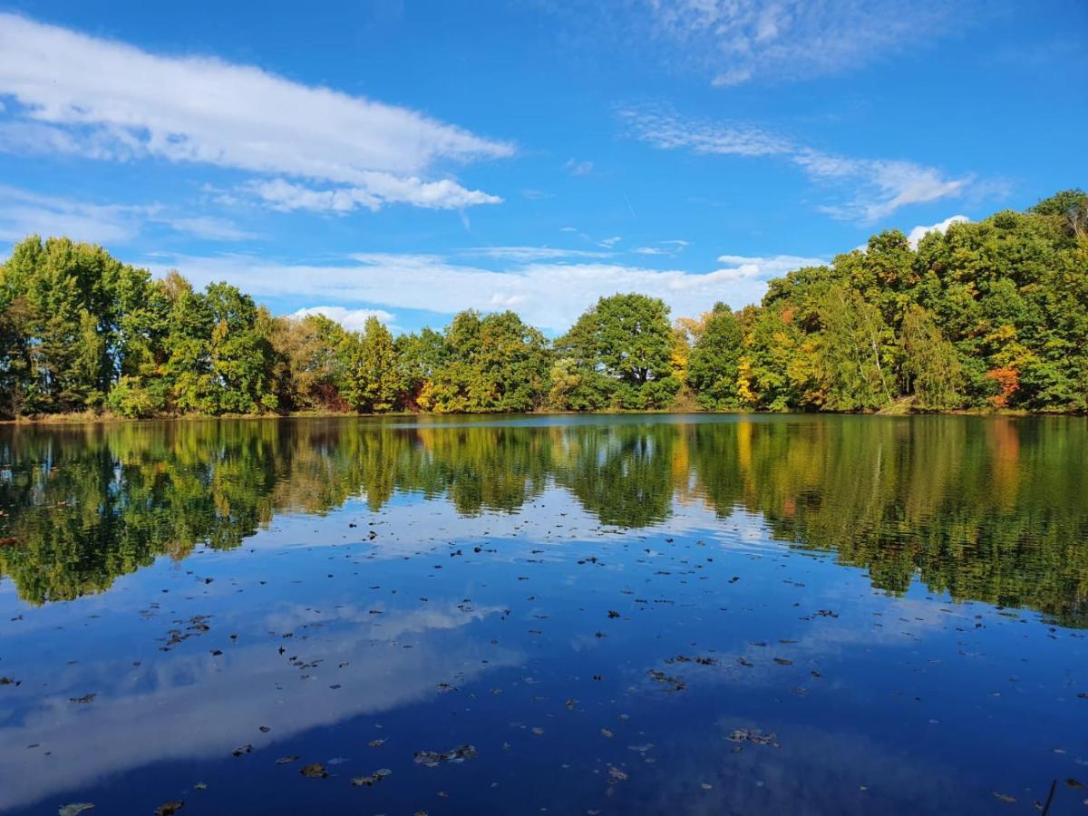 Ferienwohnung Am See Dillich - Eigener Garten - Ruhige Lage - Natur Vor Der Haustuer Borken  Εξωτερικό φωτογραφία