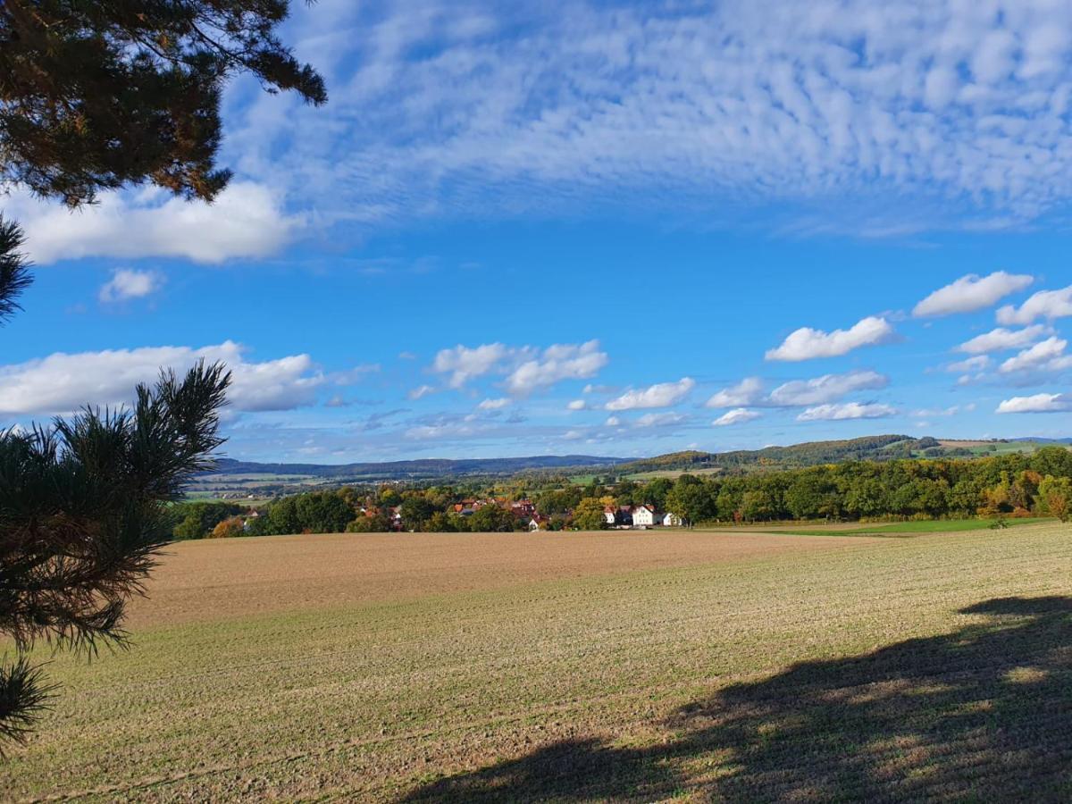 Ferienwohnung Am See Dillich - Eigener Garten - Ruhige Lage - Natur Vor Der Haustuer Borken  Εξωτερικό φωτογραφία