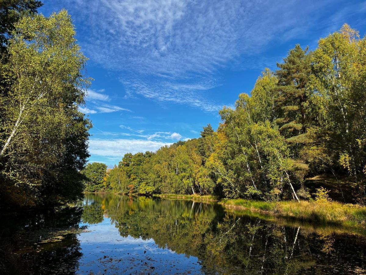 Ferienwohnung Am See Dillich - Eigener Garten - Ruhige Lage - Natur Vor Der Haustuer Borken  Εξωτερικό φωτογραφία